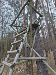 Zalecany przykład ambony i zwyżki łowieckiej