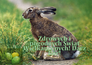 Święta Wielkanocne